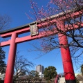 実際訪問したユーザーが直接撮影して投稿した亀戸地域名所亀戸天神社 鳥居の写真