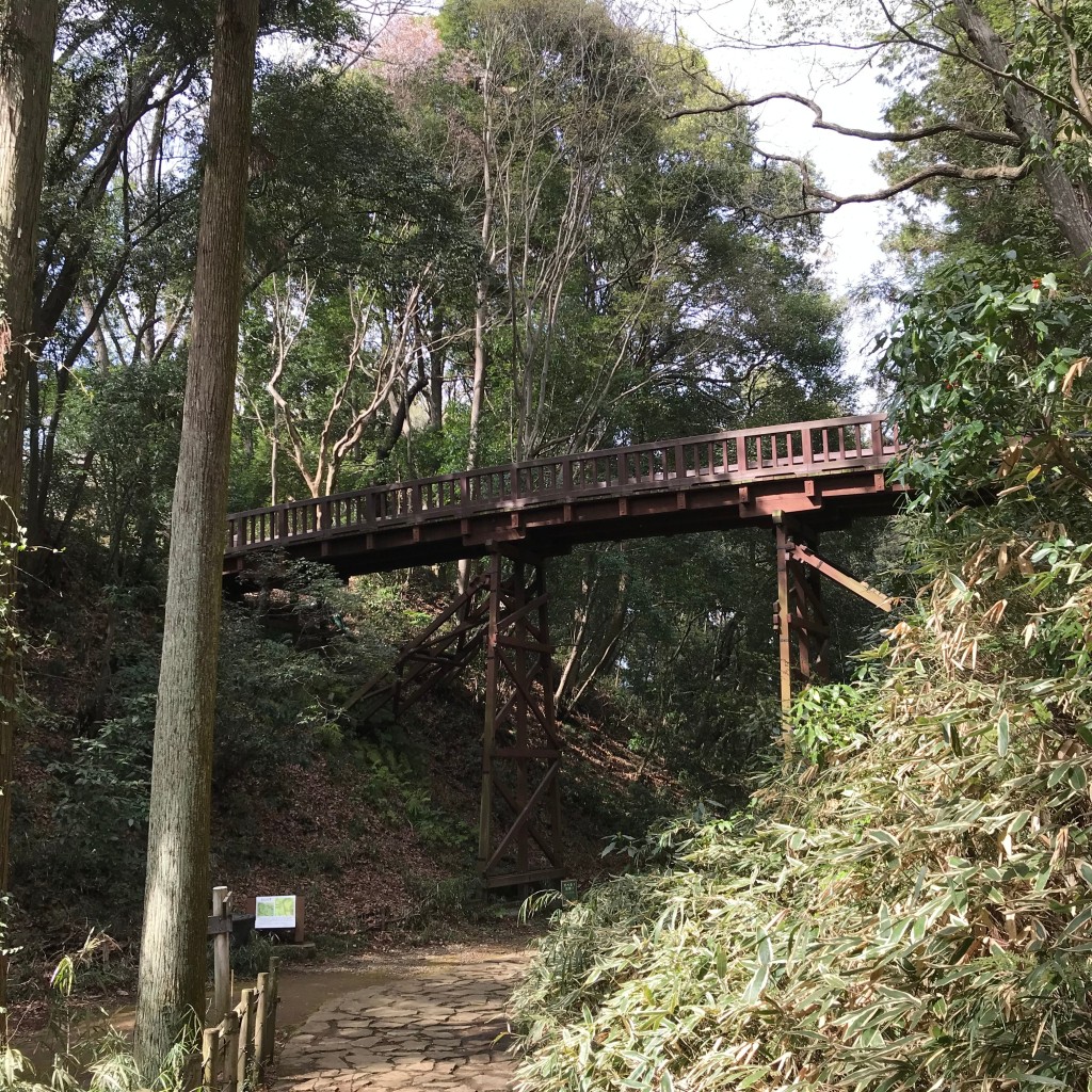 実際訪問したユーザーが直接撮影して投稿した高月町城 / 城跡滝山城跡の写真