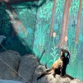 実際訪問したユーザーが直接撮影して投稿した北葛西動物園江戸川区自然動物園の写真