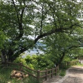 実際訪問したユーザーが直接撮影して投稿した黄金山町山 / 峠黄金山の写真