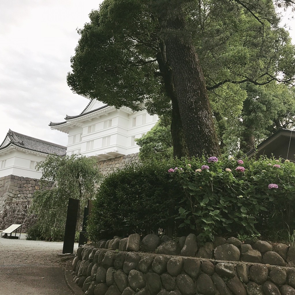 実際訪問したユーザーが直接撮影して投稿した城内城 / 城跡小田原城 天守閣の写真