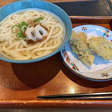 実際訪問したユーザーが直接撮影して投稿した名駅うどん野らぼー JRゲートタワーの写真