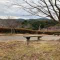 実際訪問したユーザーが直接撮影して投稿した館山公園城山公園の写真