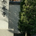 実際訪問したユーザーが直接撮影して投稿した四軒家寺泰永寺の写真