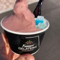 実際訪問したユーザーが直接撮影して投稿した船津アイスクリームFunari GELATERIAの写真