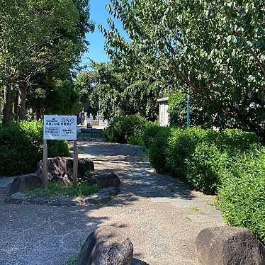 実際訪問したユーザーが直接撮影して投稿した東田辺公園東田辺さくら公園の写真