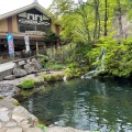 実際訪問したユーザーが直接撮影して投稿した杉野沢そば苗名滝苑の写真