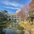 実際訪問したユーザーが直接撮影して投稿した神宮前神社東郷神社の写真