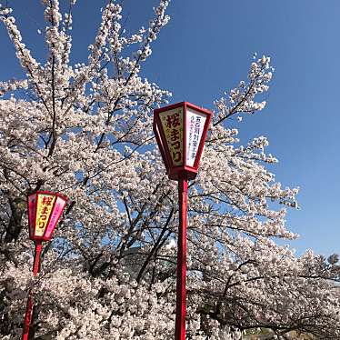 ミルクティーとキャラメル珈琲さんが投稿した山崎公園のお店五百渕公園/ゴヒャクブチコウエンの写真