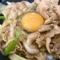 すた丼 - 実際訪問したユーザーが直接撮影して投稿した亀戸丼ものすた丼屋 亀戸店の写真のメニュー情報