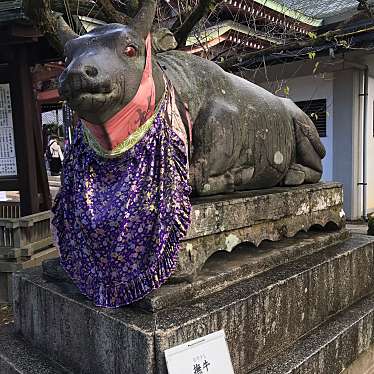 タエゾーさんが投稿した馬喰町神社のお店北野天満宮/キタノ テンマングウの写真