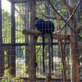 実際訪問したユーザーが直接撮影して投稿した上白根町動物園よこはま動物園ズーラシアの写真