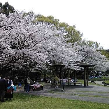 二子山公園のundefinedに実際訪問訪問したユーザーunknownさんが新しく投稿した新着口コミの写真