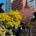 実際訪問したユーザーが直接撮影して投稿した蔵前神社蔵前神社の写真