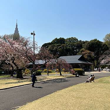 実際訪問したユーザーが直接撮影して投稿した内藤町和カフェ / 甘味処SASAYAIORI+ 新宿御苑の写真