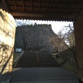 実際訪問したユーザーが直接撮影して投稿した東本小路城 / 城跡延岡城跡の写真