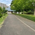 実際訪問したユーザーが直接撮影して投稿した鶴牧公園鶴牧西公園の写真