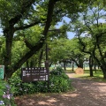 実際訪問したユーザーが直接撮影して投稿した八幡町公園武蔵野中央公園の写真