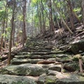 実際訪問したユーザーが直接撮影して投稿した木本町山 / 峠松本峠の写真