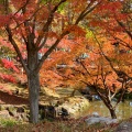 実際訪問したユーザーが直接撮影して投稿した中区牧野公園多可町余暇村公園の写真