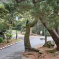 実際訪問したユーザーが直接撮影して投稿した有明町公園琴弾公園の写真