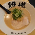 博多豚骨ラーメン - 実際訪問したユーザーが直接撮影して投稿した中洲ラーメン / つけ麺博多海老豚骨ラーメン 維櫻 中州ゲイツビル店の写真のメニュー情報