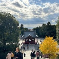 実際訪問したユーザーが直接撮影して投稿した雪ノ下神社鶴岡八幡宮 手水舎の写真