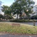 実際訪問したユーザーが直接撮影して投稿した反町公園反町公園の写真