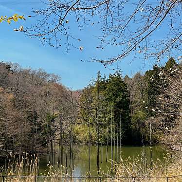 実際訪問したユーザーが直接撮影して投稿した小山ヶ丘公園都立 小山内裏公園の写真