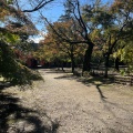 実際訪問したユーザーが直接撮影して投稿した清水アスレチック清水公園の写真