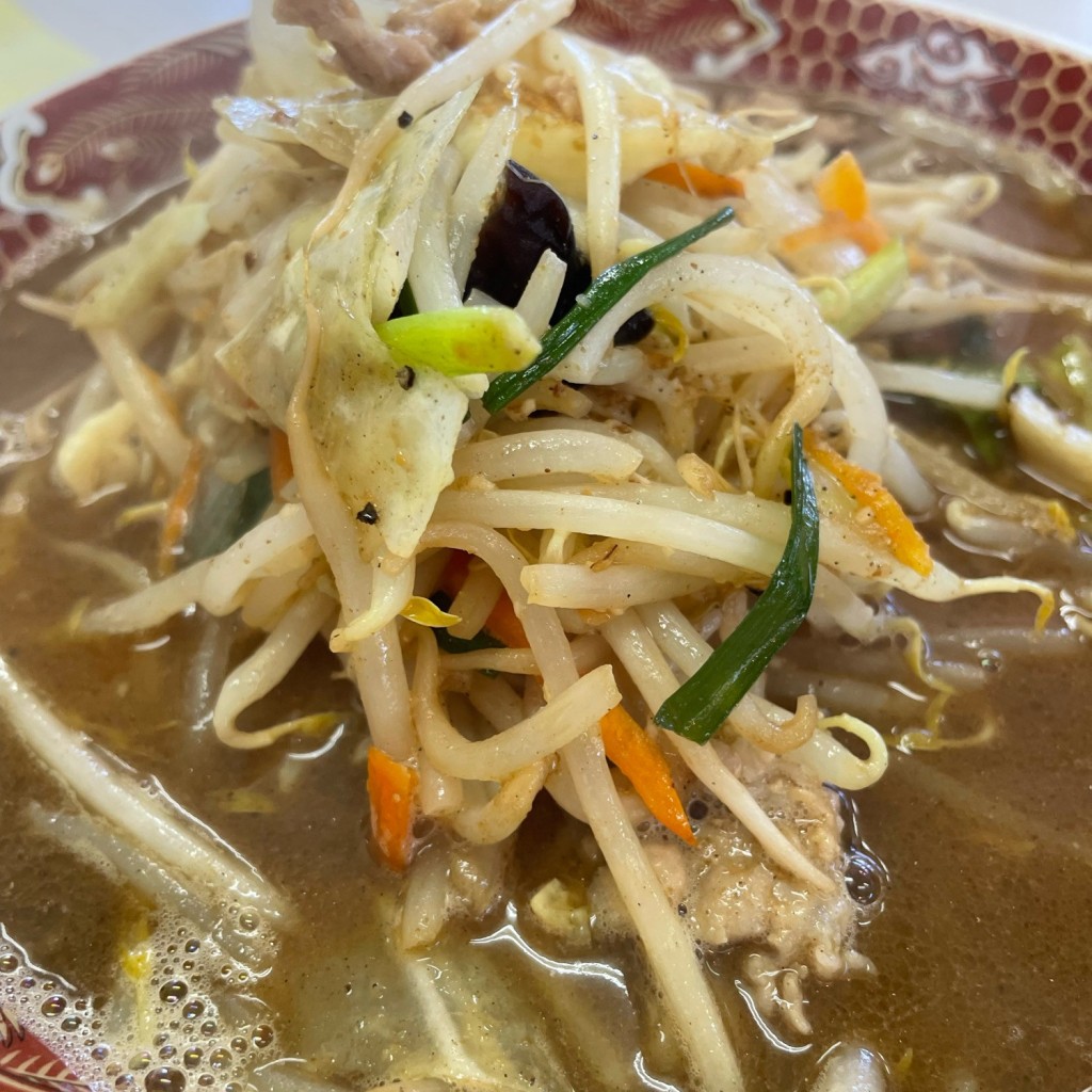 令和三郎さんが投稿した正直ラーメン / つけ麺のお店あぢとみ食堂/アヂトミショクドウの写真