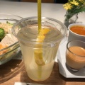 DrinkSet-Lemonade - 実際訪問したユーザーが直接撮影して投稿した南青山洋食CITRONの写真のメニュー情報