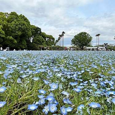 長居植物園のundefinedに実際訪問訪問したユーザーunknownさんが新しく投稿した新着口コミの写真