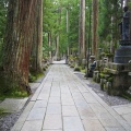 実際訪問したユーザーが直接撮影して投稿した高野山寺奥之院の写真