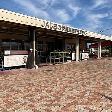 実際訪問したユーザーが直接撮影して投稿した櫻野産地直売所JAしおのや 農産物直売所 さくらの写真