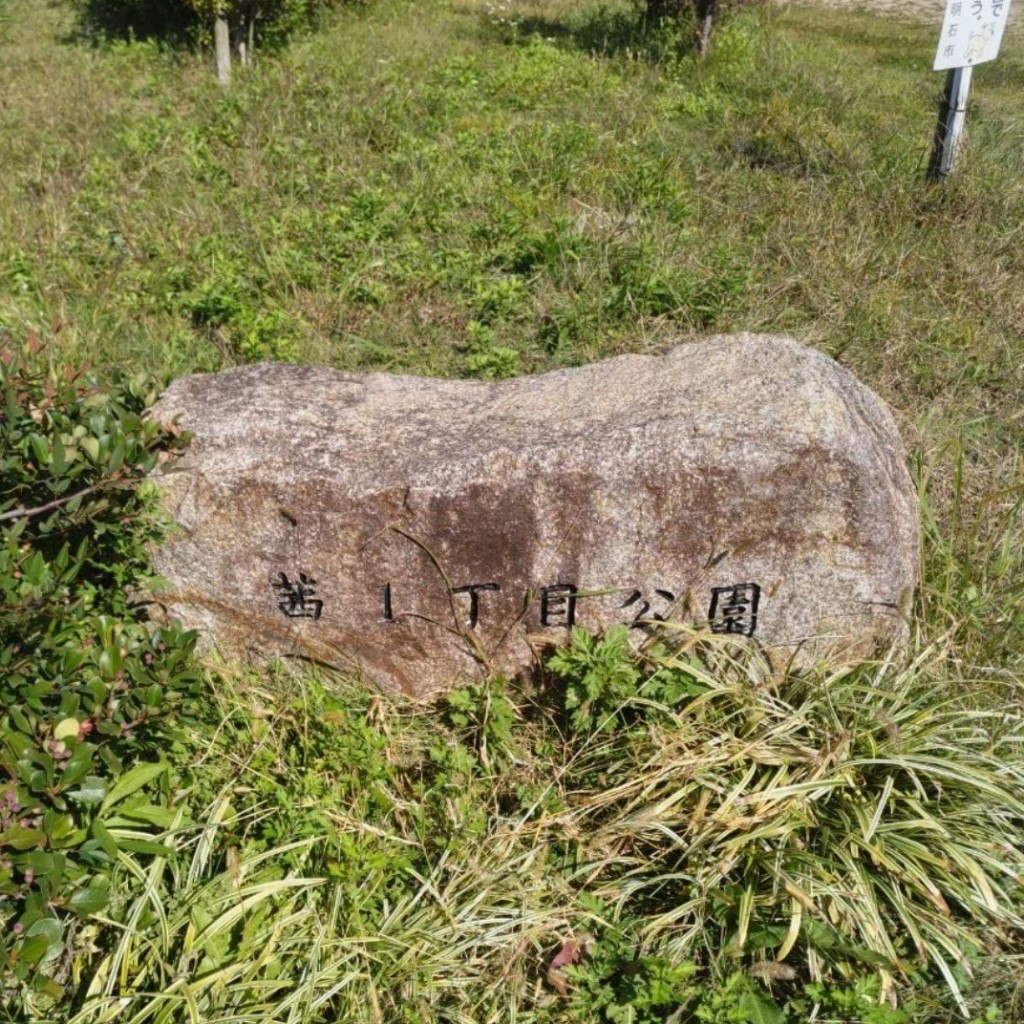 実際訪問したユーザーが直接撮影して投稿した大久保町茜公園茜1丁目公園の写真