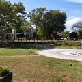 実際訪問したユーザーが直接撮影して投稿した本町公園天沼弁天池公園の写真