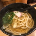 天麩羅うどん - 実際訪問したユーザーが直接撮影して投稿した村岡東うどん京風 里のうどん 村岡本店の写真のメニュー情報