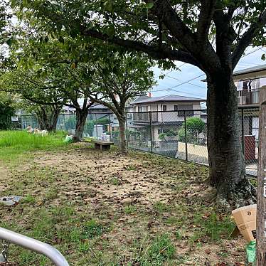 実際訪問したユーザーが直接撮影して投稿した西大坪町公園夕日ヶ丘公園の写真