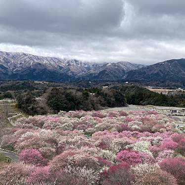 いなべ市農業公園のundefinedに実際訪問訪問したユーザーunknownさんが新しく投稿した新着口コミの写真