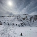 実際訪問したユーザーが直接撮影して投稿した山 / 峠藤原岳の写真