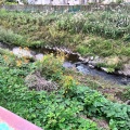実際訪問したユーザーが直接撮影して投稿した河川境川の写真