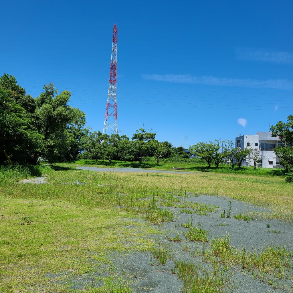 実際訪問したユーザーが直接撮影して投稿した植田町公園植田大池広場の写真