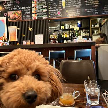 ちとたんさんが投稿した愛宕カフェのお店キャナリーカフェ/Canary Cafeの写真