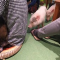 実際訪問したユーザーが直接撮影して投稿したレイクタウンカフェmipig cafe イオンレイクタウン店の写真