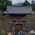 実際訪問したユーザーが直接撮影して投稿した醍醐東大路町世界遺産醍醐寺 仁王門の写真