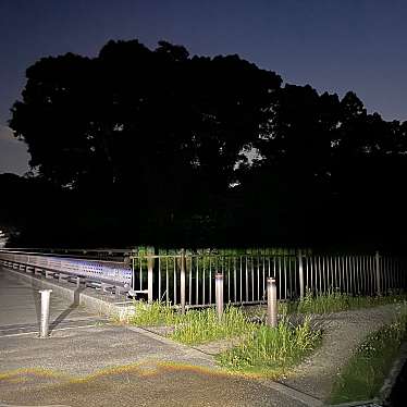 実際訪問したユーザーが直接撮影して投稿した私市植物園 / 樹木園大阪市立大学理学部附属植物園の写真