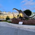 実際訪問したユーザーが直接撮影して投稿した中央広場福井駅西口広場(恐竜広場)の写真