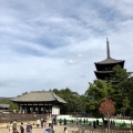 実際訪問したユーザーが直接撮影して投稿した登大路町寺興福寺の写真