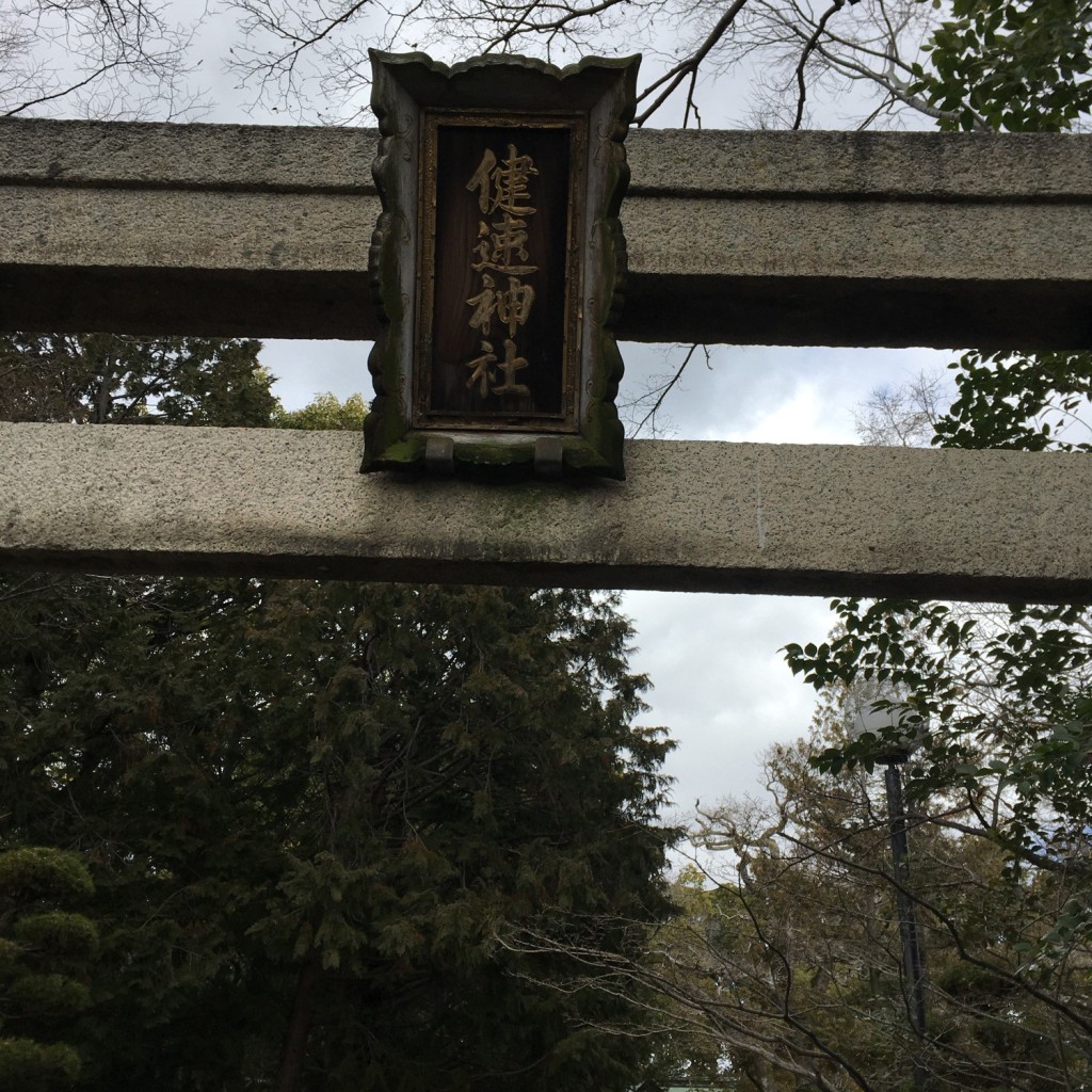 ぶどううり・くすこさんが投稿した野間神社のお店健速神社/タケハヤジンジャの写真